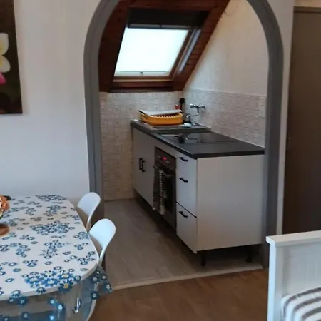 Appartement F2 Les Bains Cozy