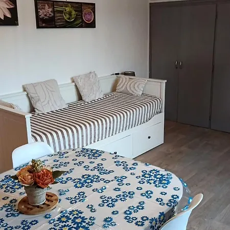 F2 Les Bains Cozy * Amélie-les-Bains-Palalda